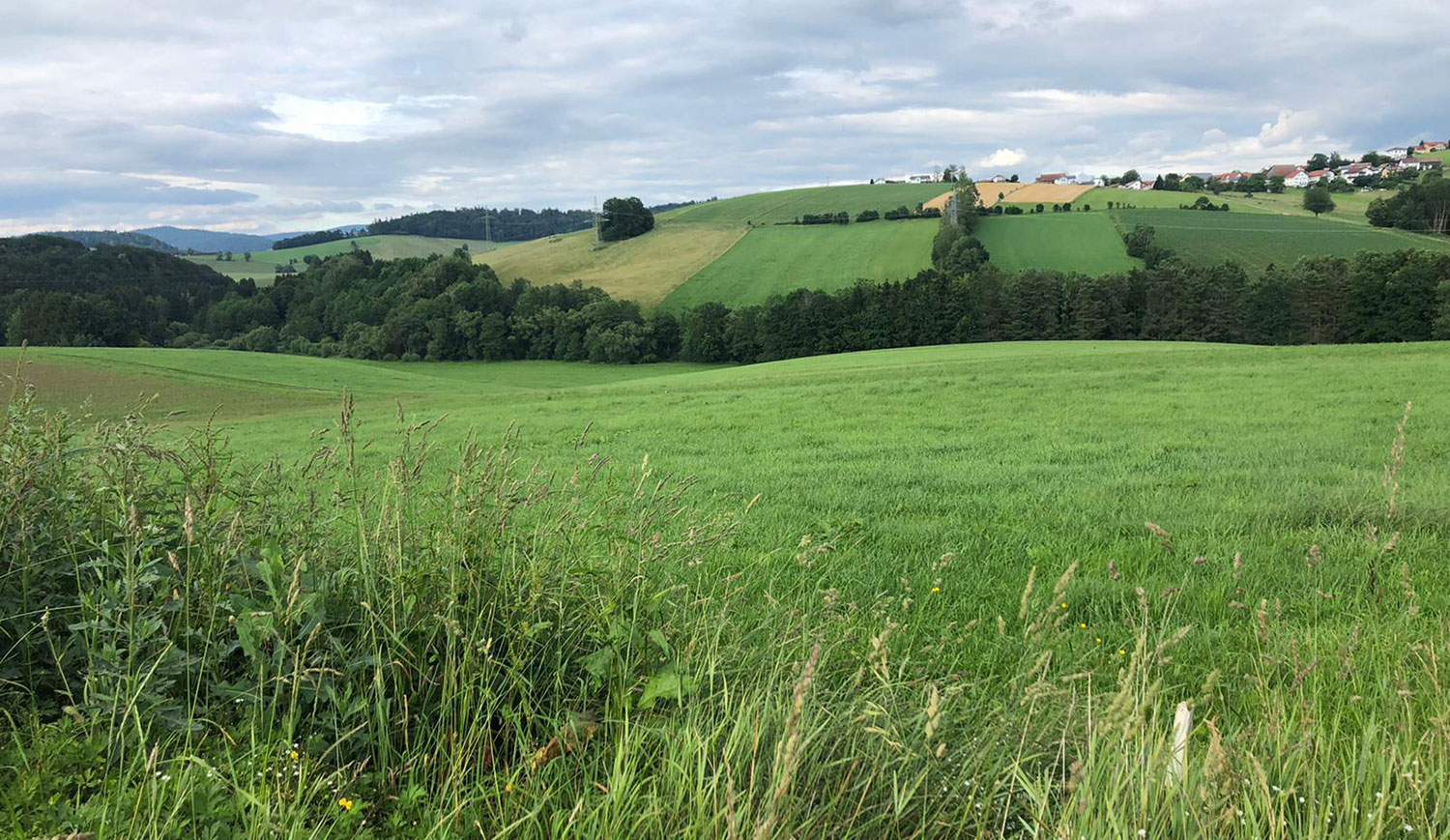 Fewo Ausblick Röhrnbach